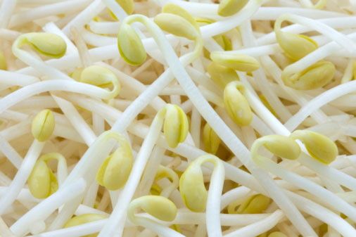 Những bí mật từ các loại Giá đỗ