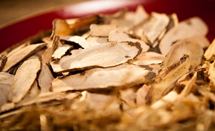 Bạch liễm - Đặc tính, công dụng và phương thuốc trị liệu