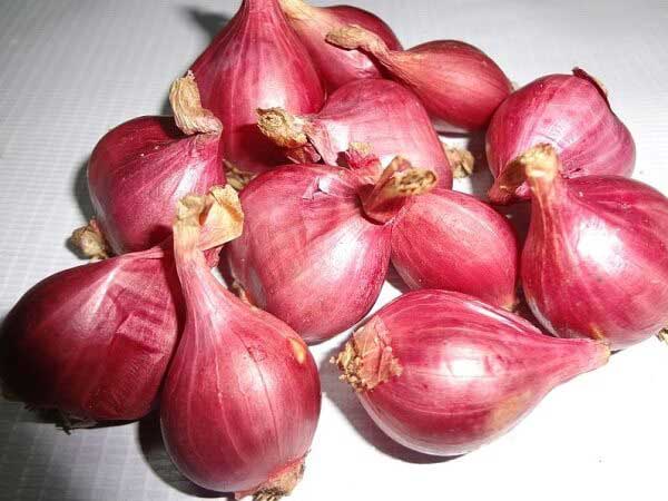 Đặc tính, công dụng của Thông thực (củ hành)