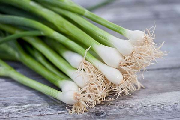 Đặc tính, công dụng của Hành lá