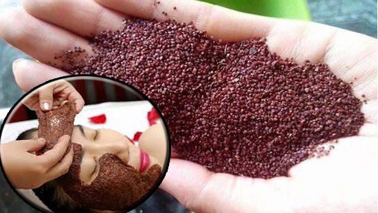 Đình lịch - Đặc tính, công dụng và phương thuốc trị liệu