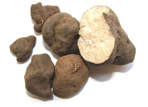 Đặc tính, công dụng, phương thuốc trị liệu của lôi hoàn