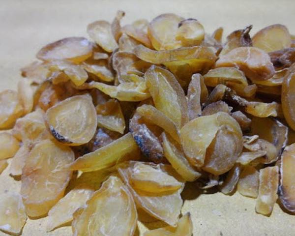 Phụ tử - Đặc tính, công dụng, phương thuốc trị liệu