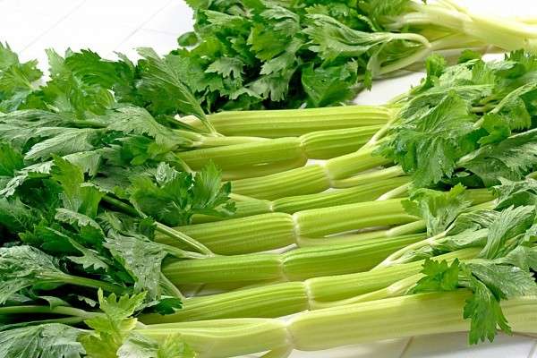 Đặc tính, công dụng của Thủy cẩn