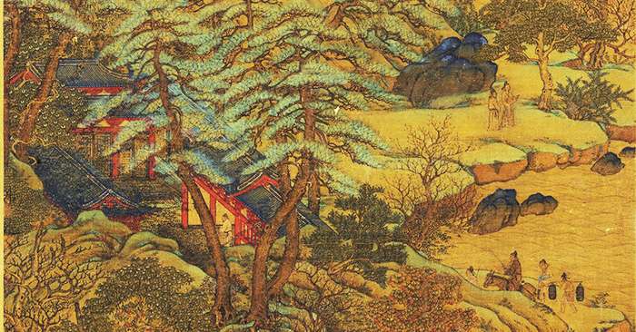 Tùng chi - Vị thuốc dưỡng sinh thời cổ đại