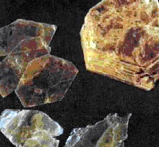 Vân mẫu là gì? Công dụng trị bệnh như nào?