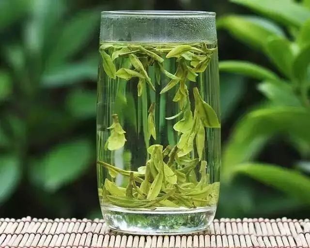 Điều trị chứng hay quên bằng trà thuốc