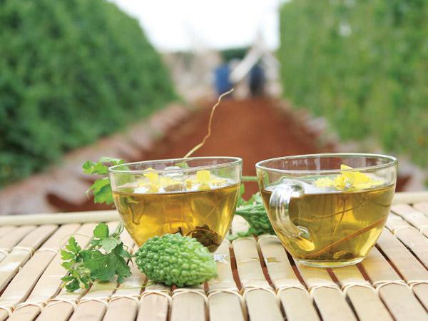 Điều trị viêm khoang mũi bằng các bài trà thuốc