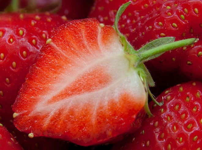 Một số bài thuốc điều trị Di tinh