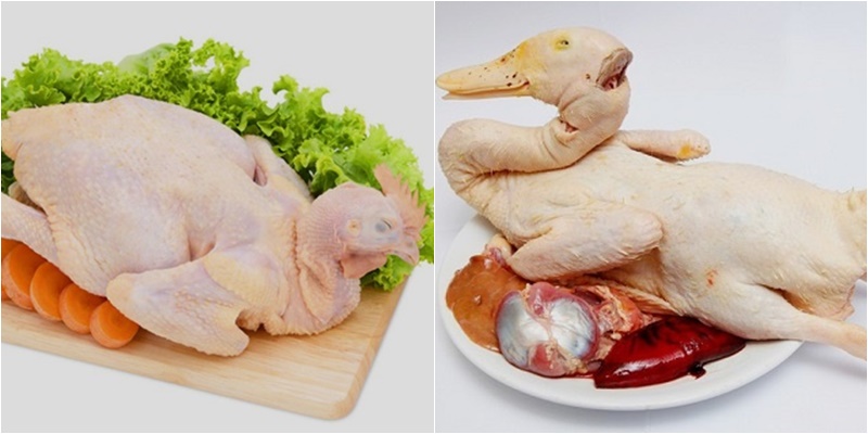 Bỏ túi 10 Cách chế biến thịt gà, thịt vịt