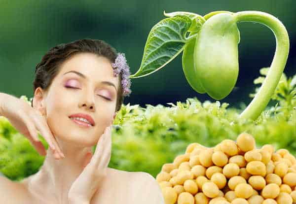 Chất isoflavon có trong đậu nành