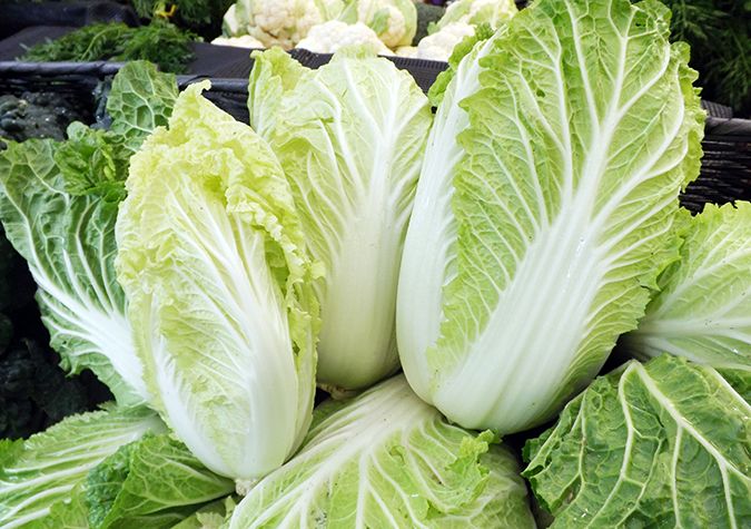 Chất dinh dưỡng trong rau cải thảo