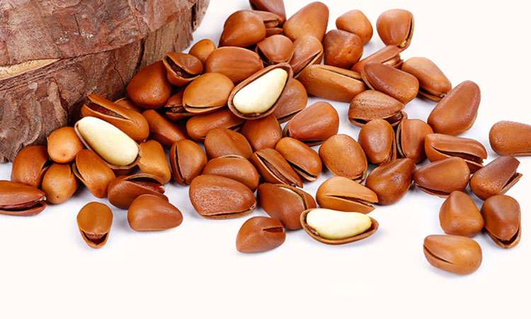 Cách làm món cháo nhân hạt thông