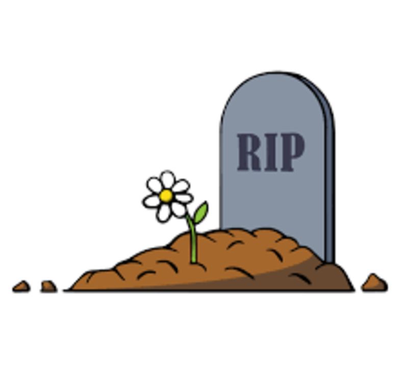 Nhiều người không chết vì bệnh tật mà chết vì ngu dốt