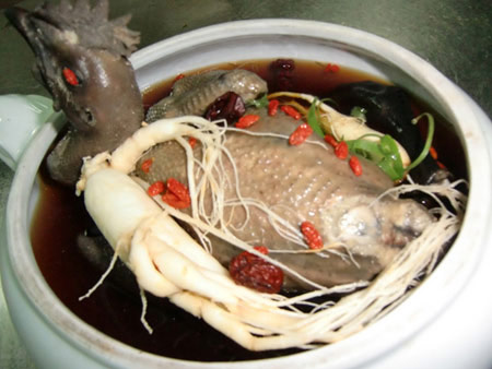 Hướng dẫn làm món Gà ác tiềm sâm quy