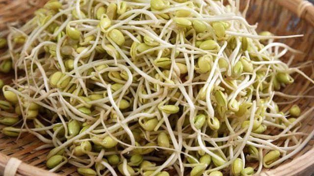 Chất dinh dưỡng trong giá đỗ tương