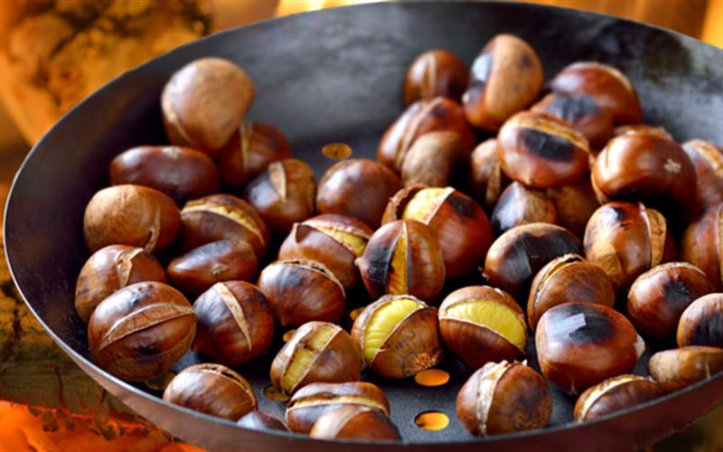 Chất dinh dưỡng trong hạt dẻ