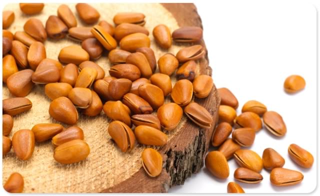 Chất dinh dưỡng trong hạt thông