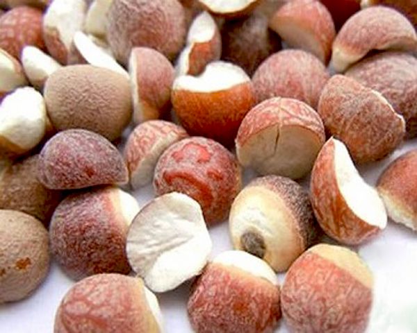 Dinh dưỡng trong Khiếm thực