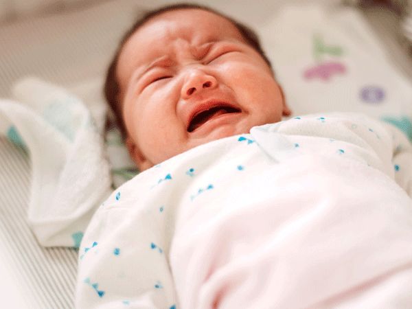 Bài thuốc cam mạch đại táo thang điều trị khóc đêm