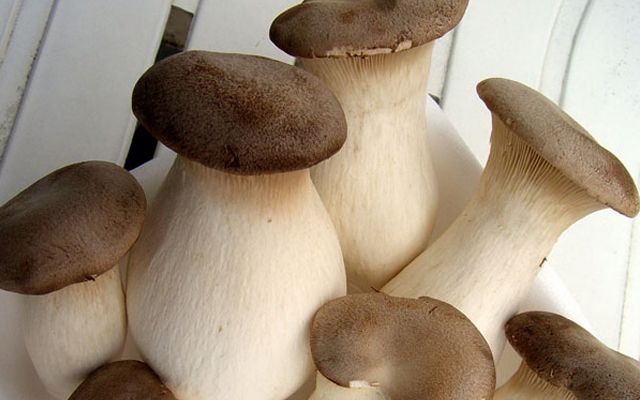 Chất dinh dưỡng trong nấm đùi gà