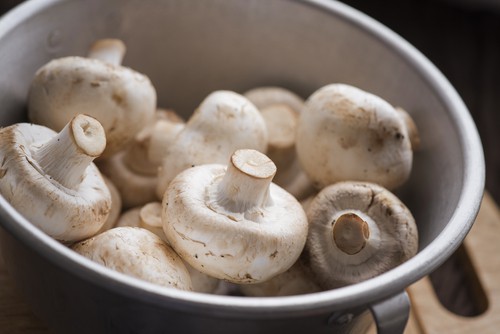 Chất dinh dưỡng trong Nấm mỡ