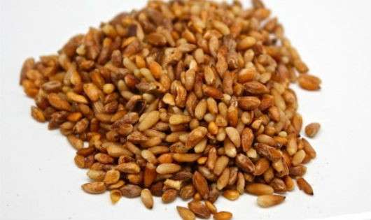 Cách làm món Nhân hạt bách hầm tim lợn