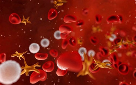 Nhiễm trùng huyết triệu chứng và điều trị