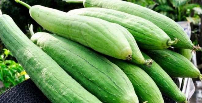 Chất dinh dưỡng trong quả mướp