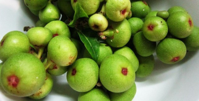 Bài thuốc trị bệnh từ quả sung