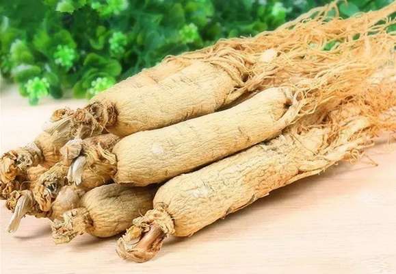 Tác dụng của Tây Dương Sâm