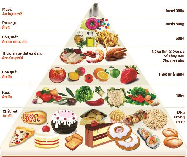 Tháp dinh dưỡng cho người cao tuổi