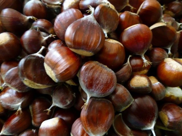Hạt dẻ tốt cho dạ dày