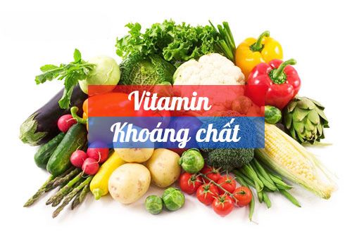 Vitamin và chất khoáng trong thức ăn