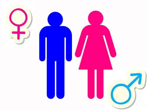 Xác định giới tính: Tôi là ai? Nam hay nữ?