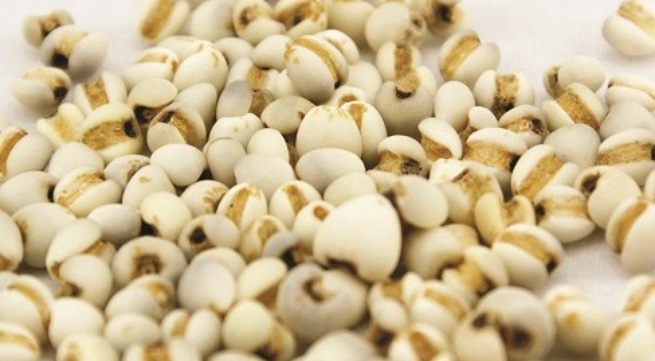 Chất dinh dưỡng trong Ý nhân dĩ